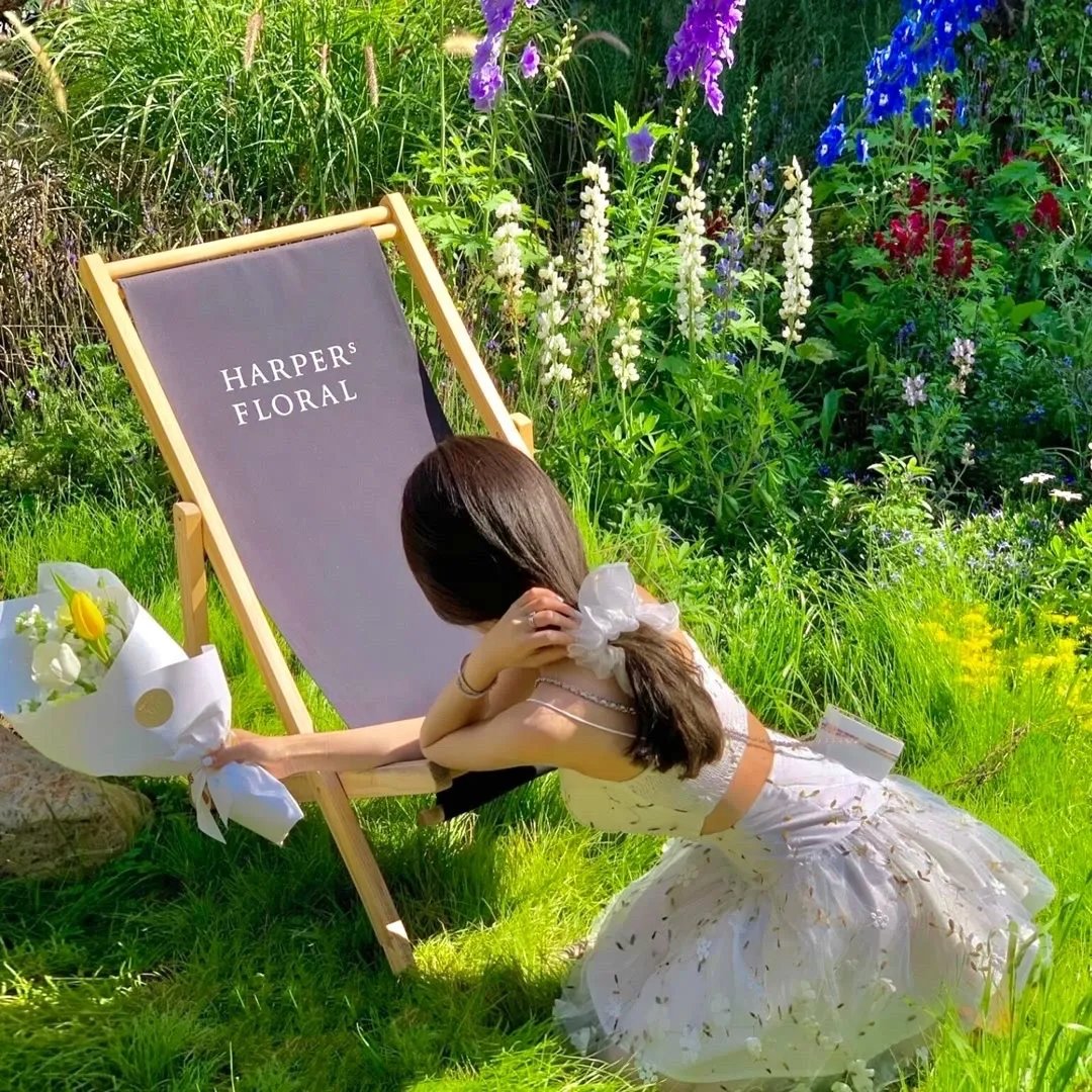 神秘博士:逃跑新娘